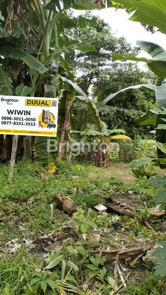 image LAHAN DI PUPUK UTARA  (1)