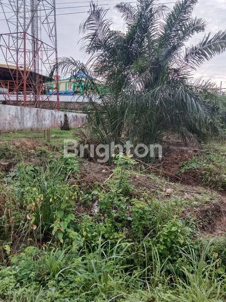 image TANAH PINGGIR JALAN RAYA (1)