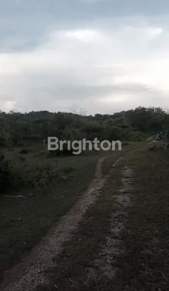 image JUAL TANAH PREMIUM DI NUSA LEMBONGAN (4)