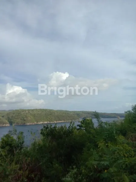 image JUAL TANAH PREMIUM DI NUSA LEMBONGAN (3)
