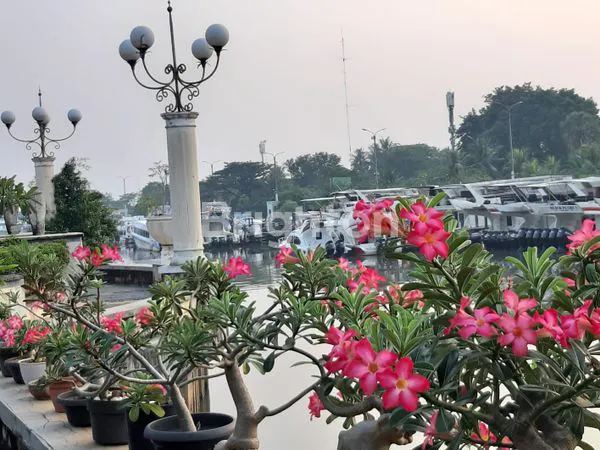 image RUMAH 2 LANTAI MEWAH VIEW KAPAL (LANGKA) ANCOL TOWNHOUSE  (8)
