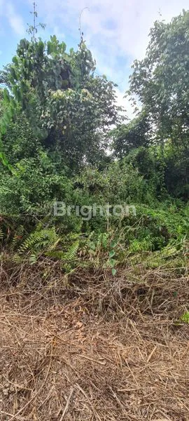 image TANAH MURAH DEKAT BANDARA SAMARINDA  (3)