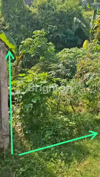 image DIJUAL SEGERA TANAH LOKASI STRATEGIS DI NYITDAH (2)