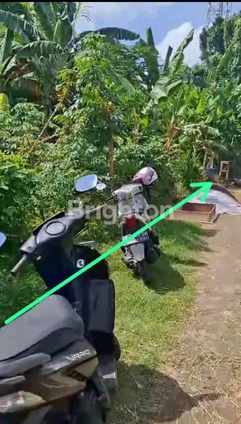 image DIJUAL SEGERA TANAH LOKASI STRATEGIS DI NYITDAH (6)