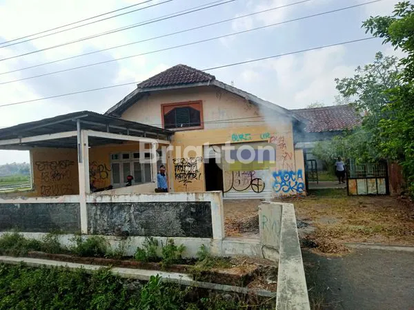 INVESTASI STRATEGIS: RUMAH & SAWAH DI BANTUL