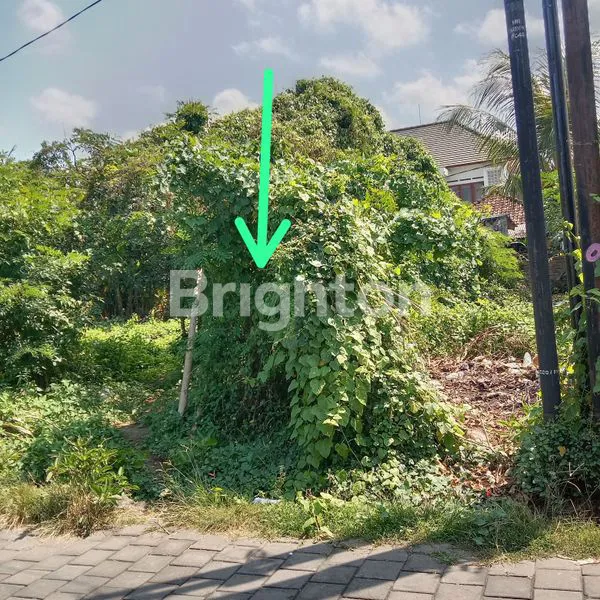 image DIJUAL SEBIDANG TANAH LOKASI DI KEDIRI TABANAN (1)