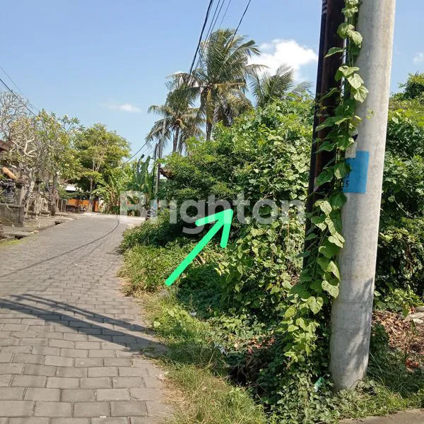 image DIJUAL SEBIDANG TANAH LOKASI DI KEDIRI TABANAN (5)