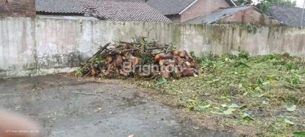 image BANGUNAN TENGAH KOTA NOL JALAN (2)