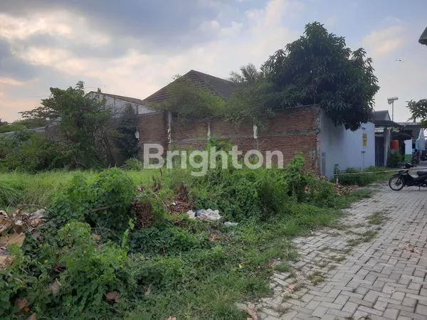 image RUMAH BESAR 1000M2 (1)