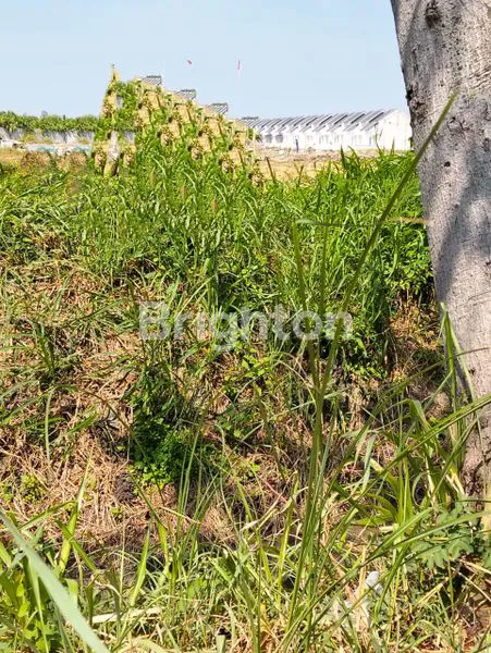 image TANAH NOL JALAN RAYA (1)