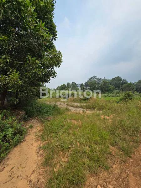 LAHAN INDUSTRY DI CITEUREUP