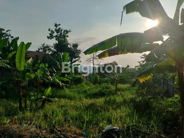 image TANAH MURAH ISTIMEWA PINGGIR JALAN RAYA MULAWARMAN (2)