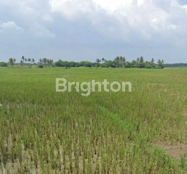 image TANAH ZONA PERUMAHAN TANGERANG (1)