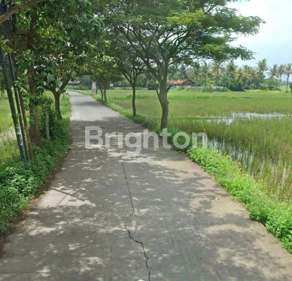 image TANAH ZONA PERUMAHAN TANGERANG (2)