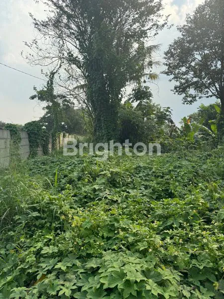 image TANAH DI BSD (4)