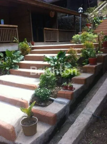 image VILLA LABUAN BAJO (4)