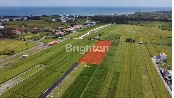 image TANAH KAVLING 30 ARE ITR PINK PARIWISATA DI CEMANGI DEKAT CANGGU BALI (3)