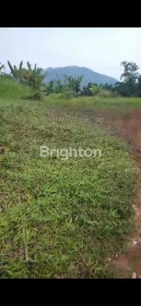 image LAHAN COCOK UNTUK PERUMAHAN  (1)