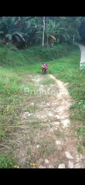 image LAHAN COCOK UNTUK PERUMAHAN  (2)