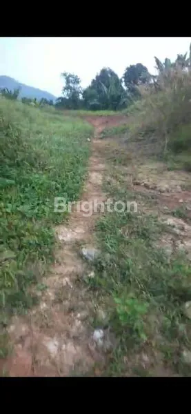 image LAHAN COCOK UNTUK PERUMAHAN  (3)