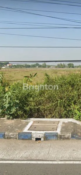 image LAHAN TANAH 1,7 HA LOKASI STRATEGIS PINGGIR JALAN NASIONAL AREA CARUBAN MADIUN  (1)