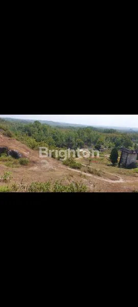 image JUAL TANAH LUAS DI KULONPROGO (3)