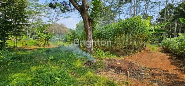 image TANAH MURAH BISA UNTUK INVESTASI BANGUN RUMAH KOS ATAU TEMPAT TINGGAL GUNUNG PATI SEMARANG UNGARAN (3)