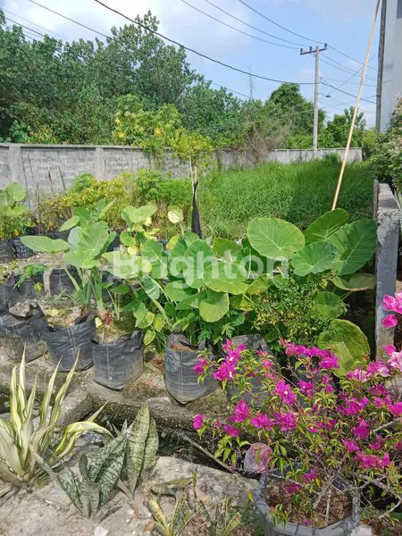 image TANAH DALAM KOMPLEK CLUSTER (2)