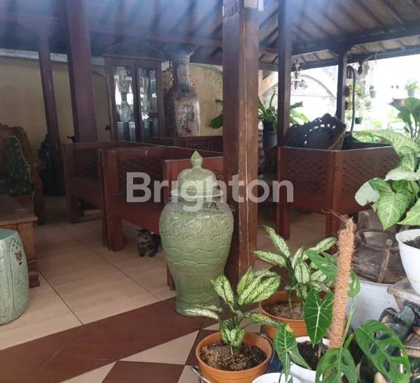 image RUMAH NYAMAN DAERAH KERATON JOGJA (4)
