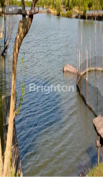 image JUAL.TAMBAK DESA KALIANYAR BANGIL PASURUAN (1)