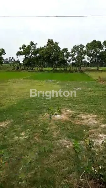 image LAHAN MOJOSARI (2)