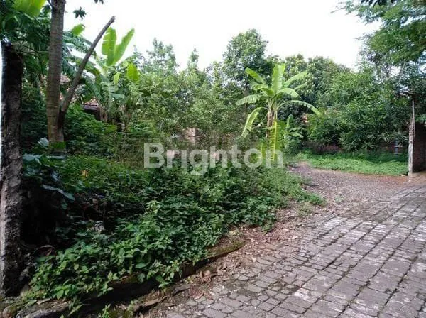 image TANAH SIAP BANGUN NGESREP SEMARANG SELATAN (1)