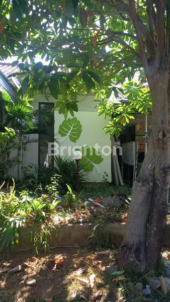 image RUMAH CANTIK (5)