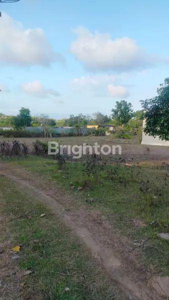 image TANAH MURAH DEKAT PANTAI PANDAWA  (5)