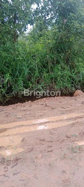 image TANAH KAPLING TEPIAN GUNUNG LINGAI (1)