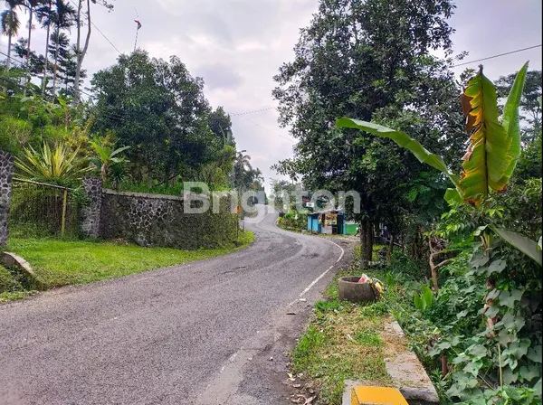 image RAYA TRAWAS, TANAH SIAP BANGUN, LOKASI TEPAT DI SEBELAH HOTEL VANDA GARDENIA, BISA UNTUK KOMERSIAL DAN VILA, DEKAT PENDOPO ASRI DAN LERENG ASRI TRAWAS (4)