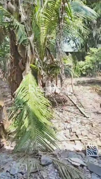 image GUDANG JL BANGSAL MOJOSARI - MOJOKERTO (4)