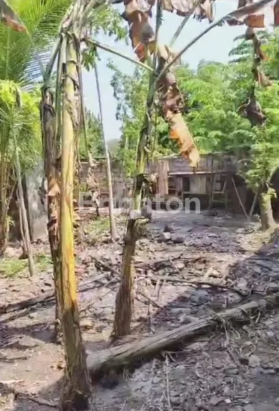 image GUDANG JL BANGSAL MOJOSARI - MOJOKERTO (8)