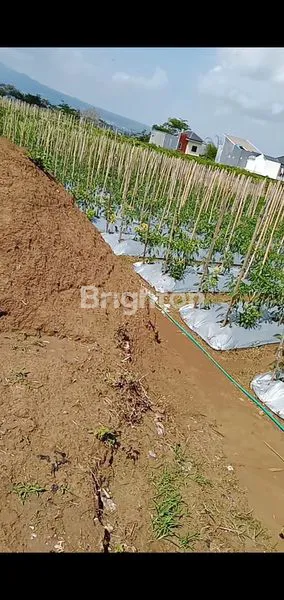 image TANAH KAVLING DIJUAL DI GRAHA DEWATA. (1)