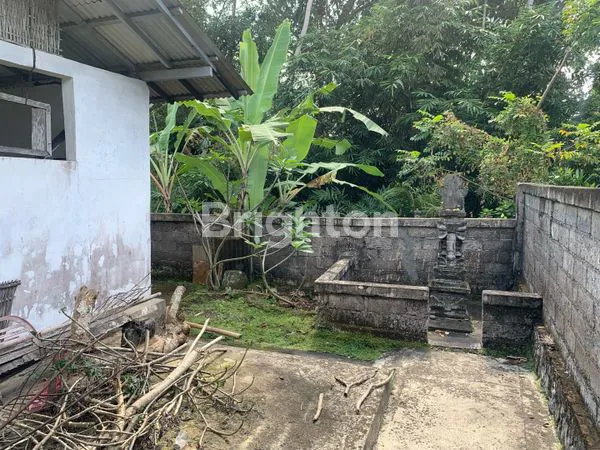 image DI JUAL RUMAH TRADISIONAL BALI DI PASUT  (6)