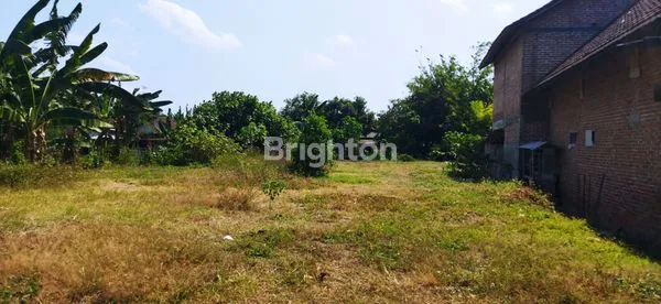 image TANAH PEKARANGAN DI GOGORANTE (2)