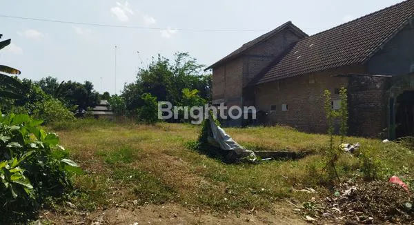 image TANAH PEKARANGAN DI GOGORANTE (1)