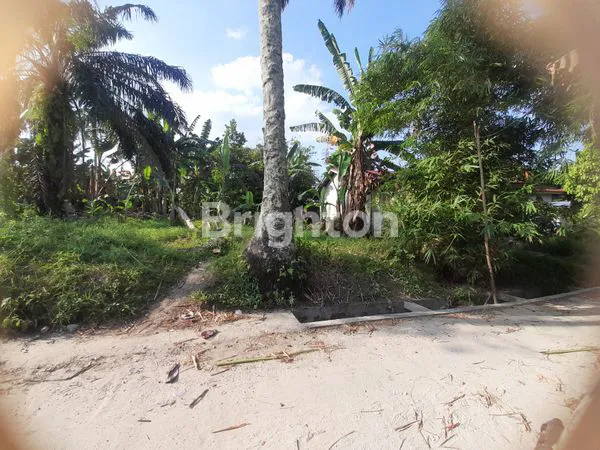 TANAH TENGAH KOTA DEKAT MESJID