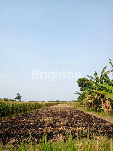 TANAH NOL JALAN BANGSAL MOJOKERTO