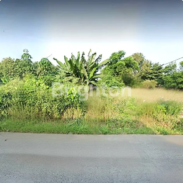 Gambar Property TANAH DATAR MURAH PINGGIR JALAN GUNUNG SINDUR DEKAT PASAR PARUNG LEBAR MUKA 40 M