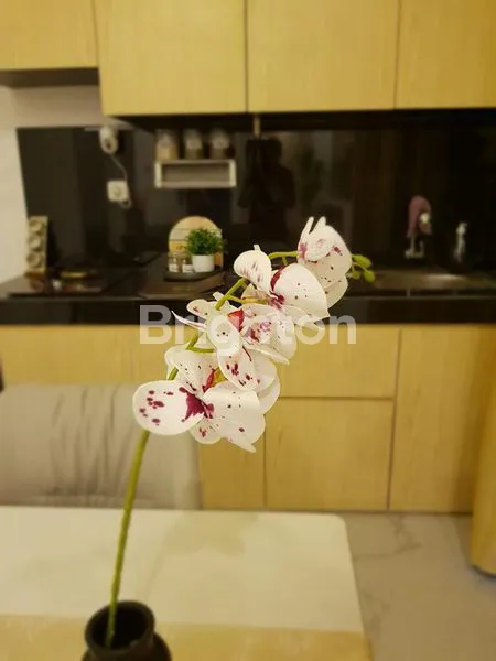 image CLUSTER CANTIK MODERN (8)