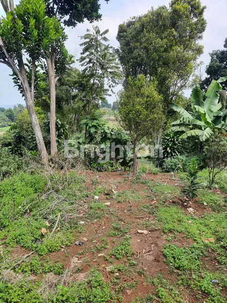 image DIJUAL CEPAT TANAH KEBUN LOKASI STRATEGIS (2)