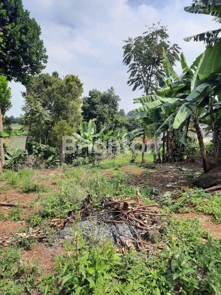image DIJUAL CEPAT TANAH KEBUN LOKASI STRATEGIS (3)