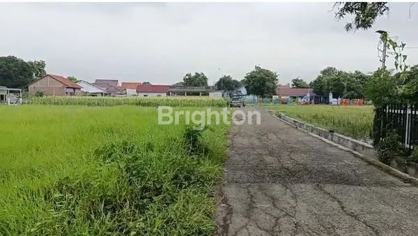 image TANAH DAERAH PEMALANG JAWA TENGAH (2)