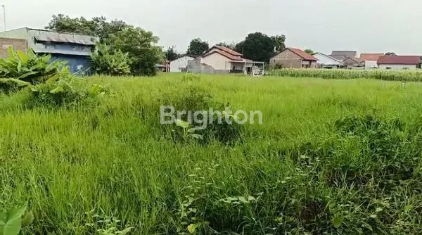 image TANAH DAERAH PEMALANG JAWA TENGAH (3)